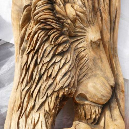 Višina 2m, hrast
2800€